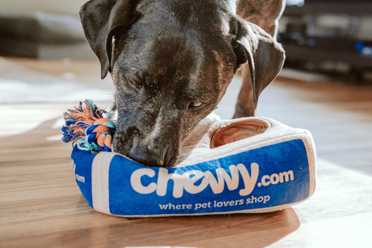 Residencias de Animales